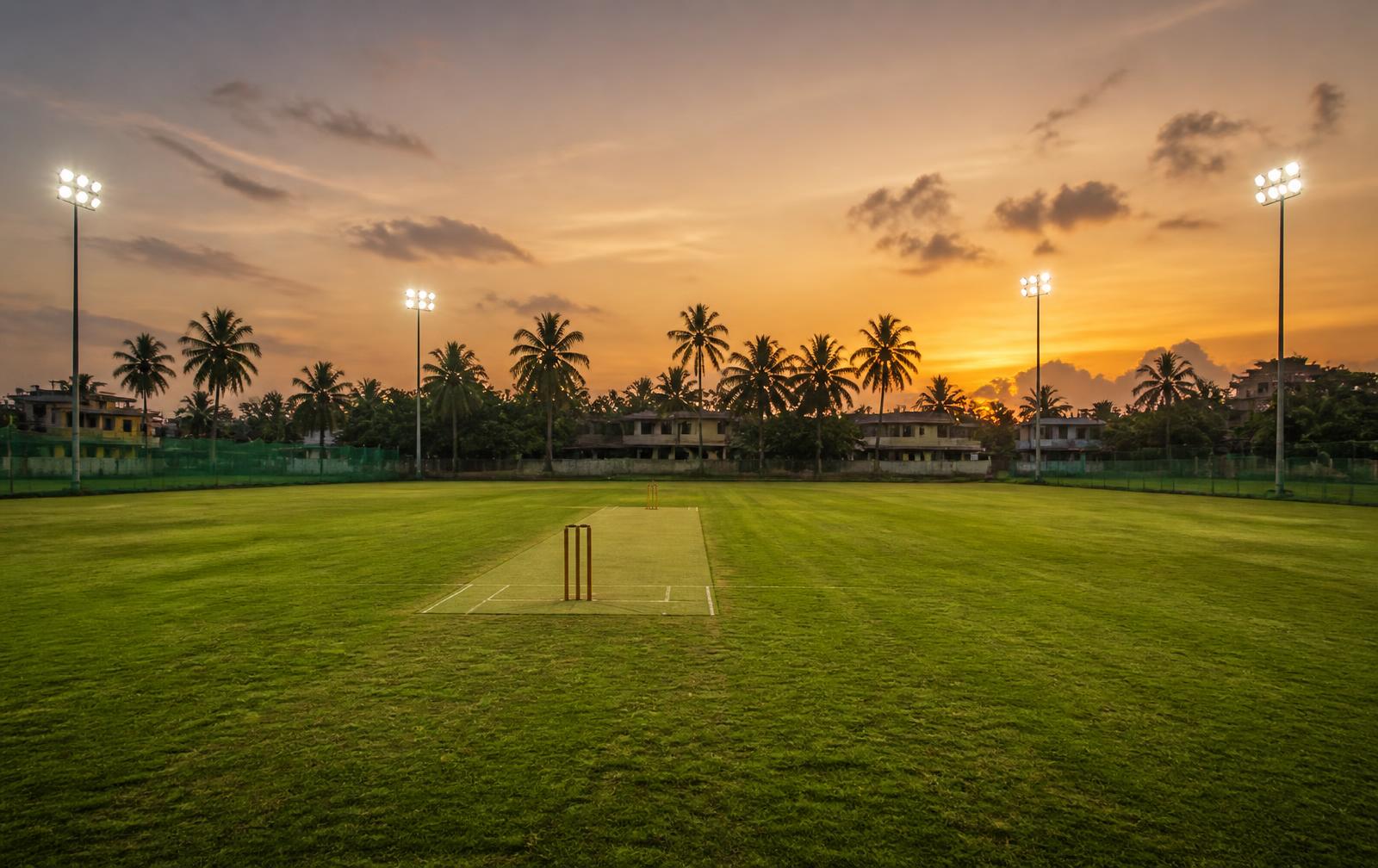 Floodlit turf cricket ground at dusk
